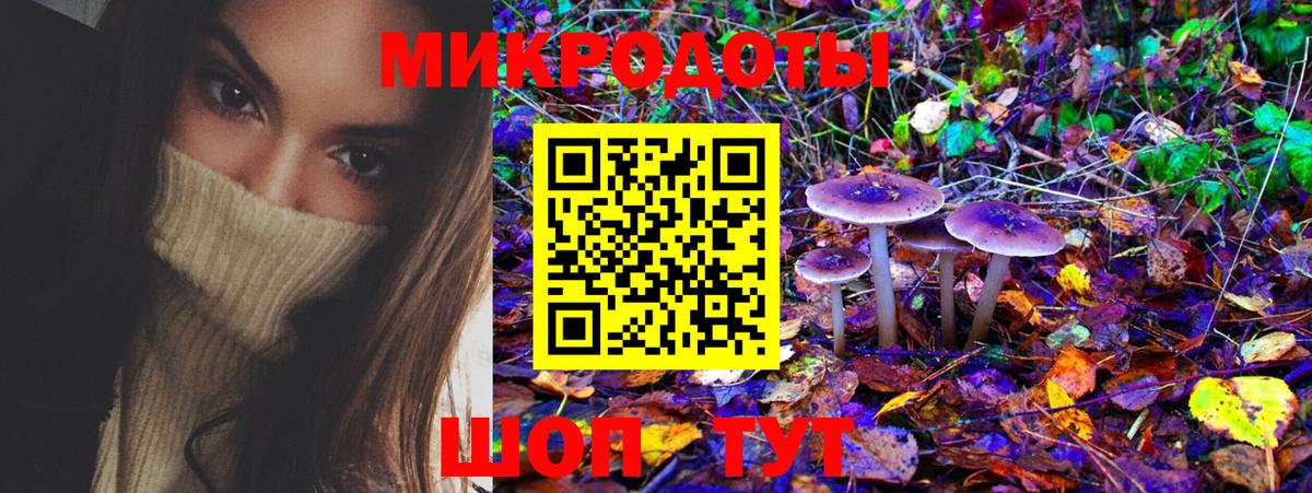 Шадринск  Галлюциногенные грибы ЛСД  наркота  Вход с VPN 